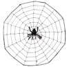 ������������� �������� Web 3.0