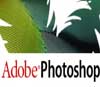 Adobe �������� ����� �������
