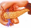 ������ ������� ������������� ������������� ������ Pancreas.