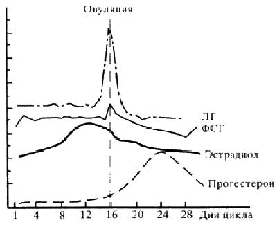Рис 10. Нейрогормональная регуляция менструального цикла. Рис 10. Нейрогормональная регуляция менструального цикла.