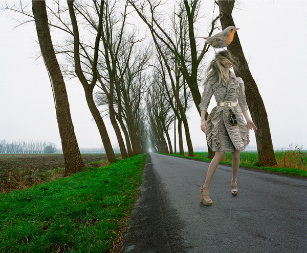 �������� Pascal Demeester