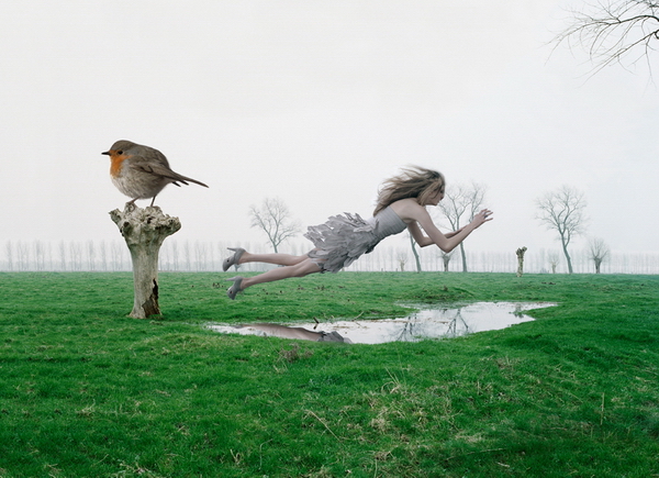 �������� Pascal Demeester