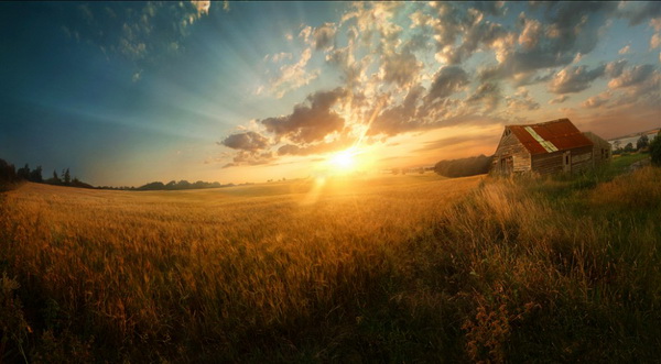 ������� ����� ������ Andrew Brooks