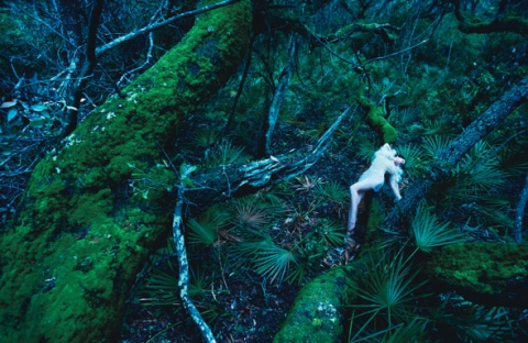 ���� ������� ��� ����� Guinevere van Seenus ��� W August