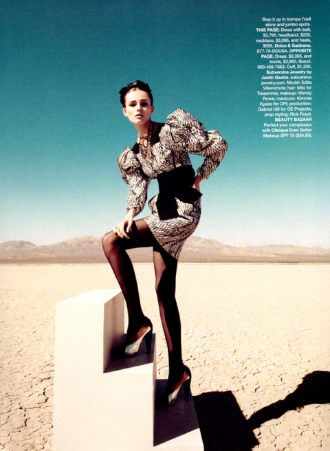 ���������� ����� ����������� Edita Vilkeviciute ��� Harper�s Bazaar