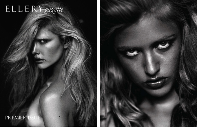 Steven Chee ��� The Ellery Gazette