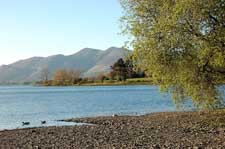 ��� �������� ���� �����, �������...