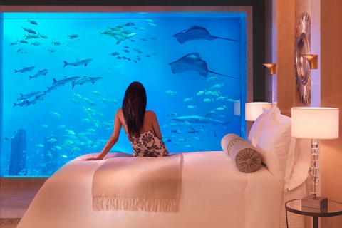 �������� ���������� ��������� Atlantis, the Palm
